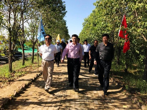 陜西省總工會(huì)黨組書記、主席白阿瑩一行蒞臨鄠邑區(qū)調(diào)研考察草堂寺健康養(yǎng)老示范項(xiàng)目