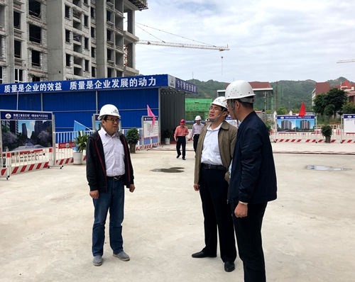 司正林深入大秦置業(yè)公司江南世紀城項目檢查指導安全工作