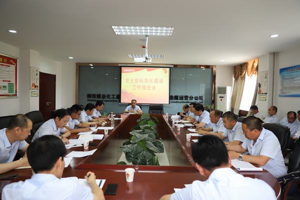 陜煤建設(shè)洗選煤運營公司全面推進基層黨支部標(biāo)準(zhǔn)化建設(shè)工作